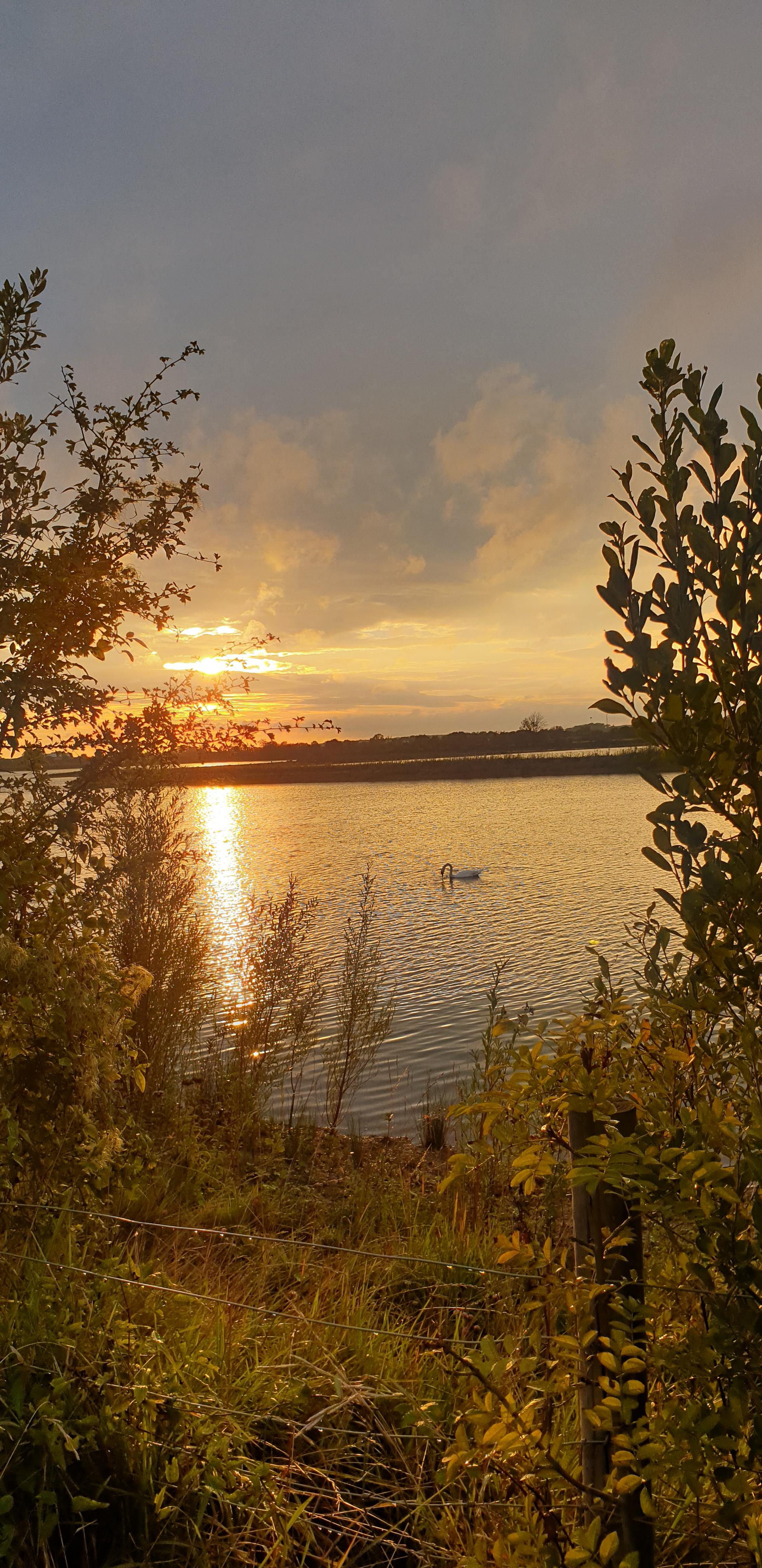 Kempsford Quarry sunset